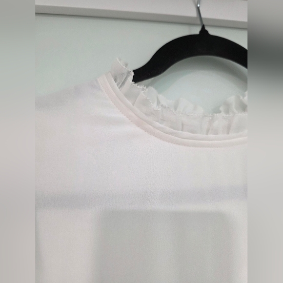 Wilfred Aritzia Swept Dress Puff-sleeve chiffon mini dress - Picture 9 of 17